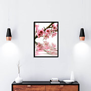 poster bloom cherry